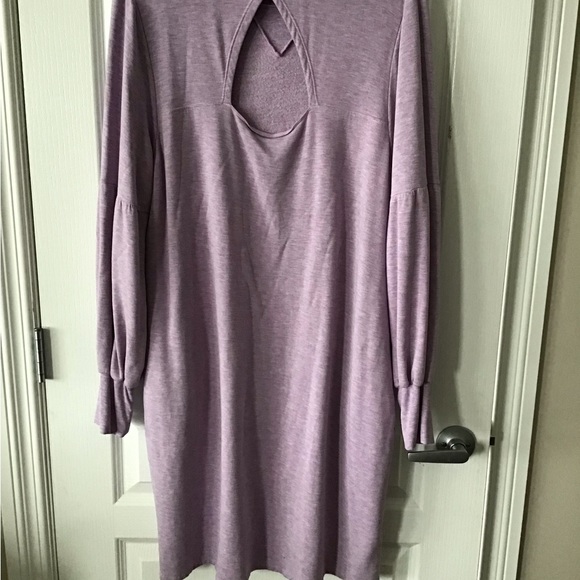 Plus Size Pennington’s Active Zone Dress - Picture 2 of 5